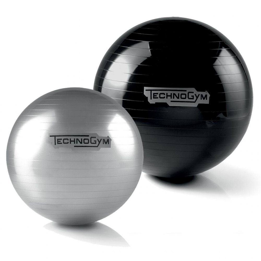 Wellness Ball™ Training