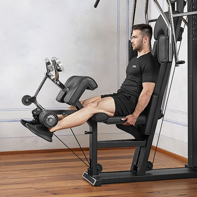 Leg Extension