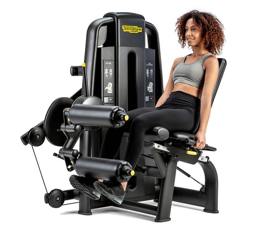Dual Leg Extension / Seated Leg Curl