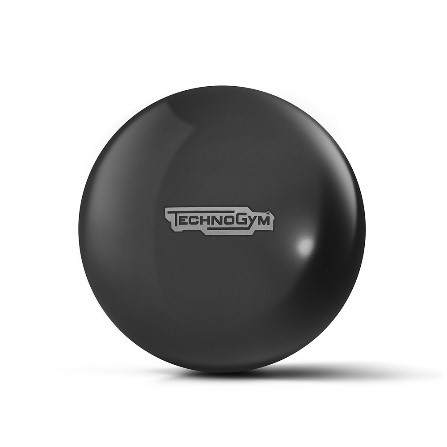 WELLNESS BALL