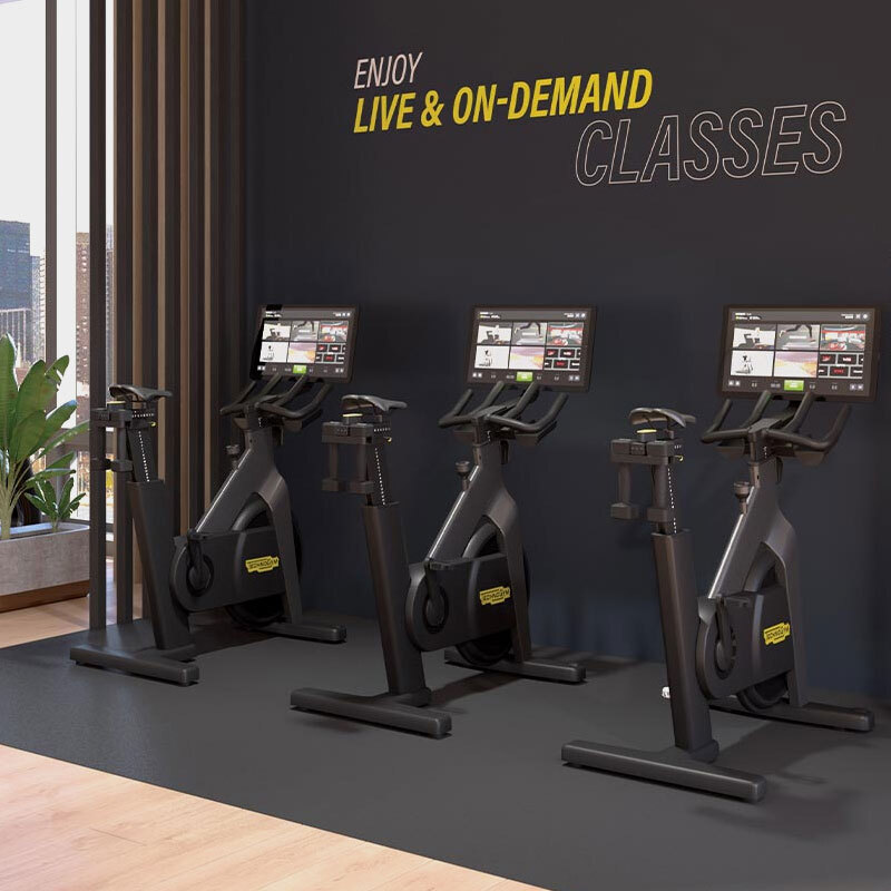 Technogym Bike