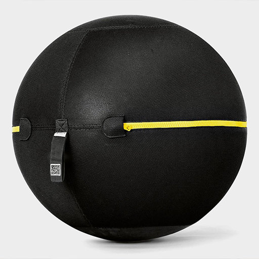 Wellness Ball Active Sitting