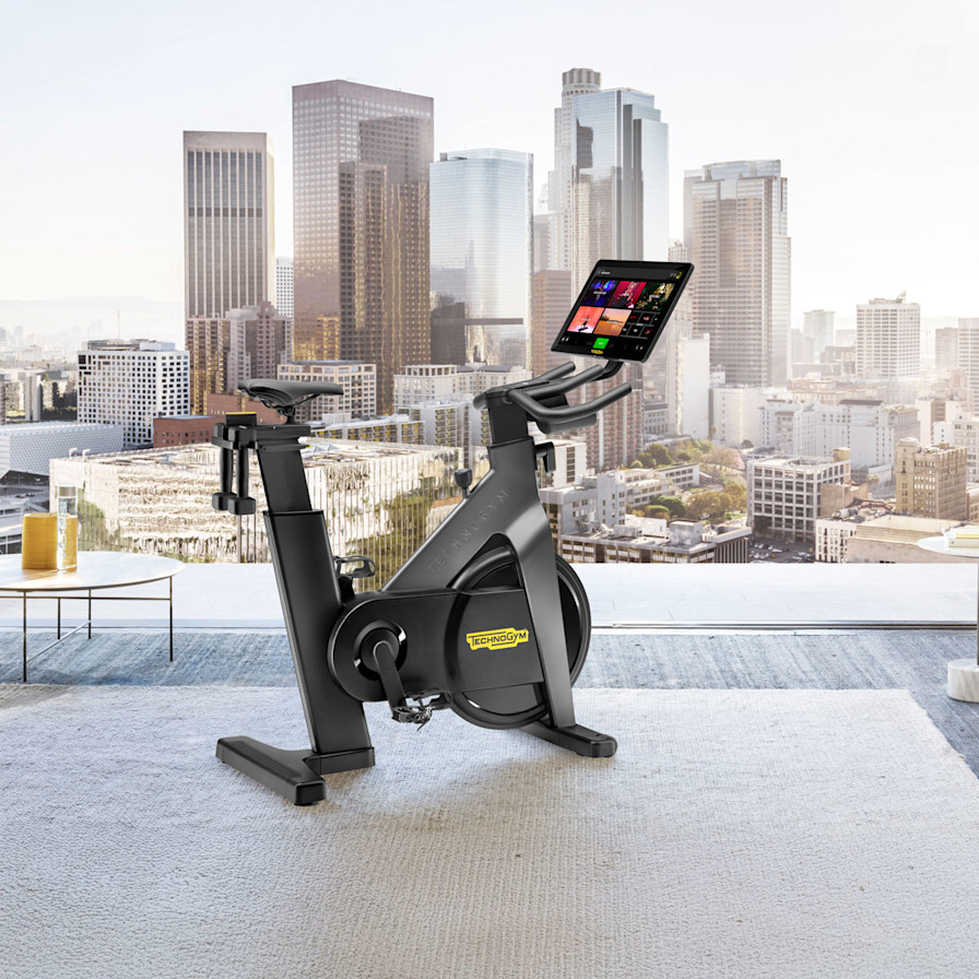 Technogym Bike